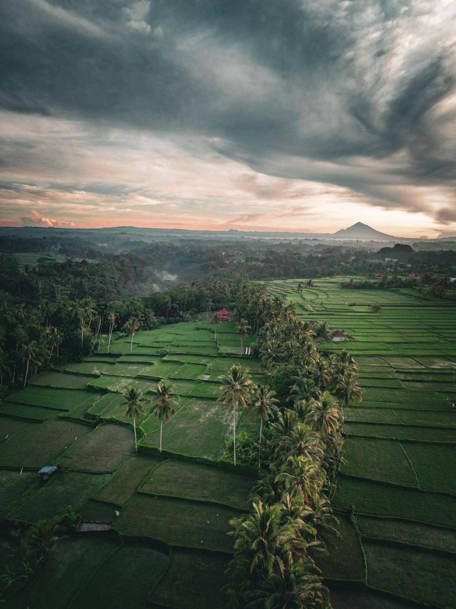 Ayu Duwur Beji Hotel Ubud  Ngoại thất bức ảnh